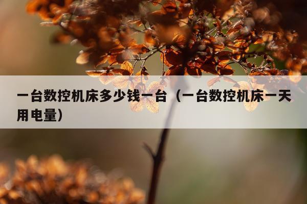 一台数控机床多少钱一台（一台数控机床一天用电量）