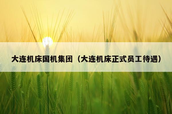 大连机床国机集团（大连机床正式员工待遇）