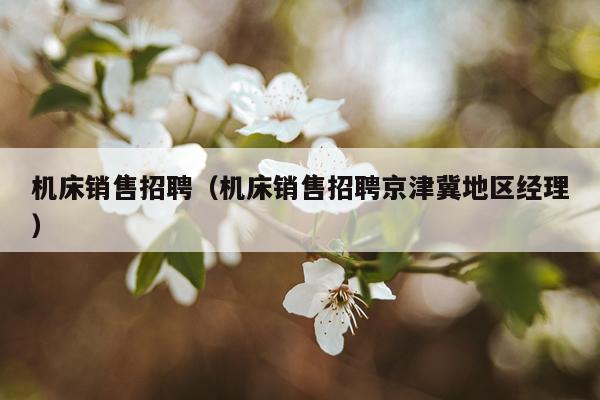 机床销售招聘（机床销售招聘京津冀地区经理）
