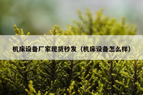 机床设备厂家现货秒发(机床设备怎么样)