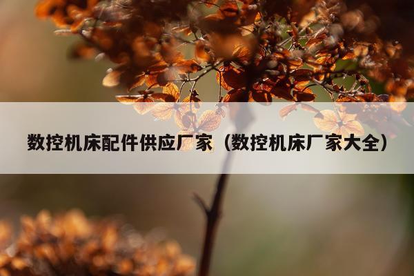 数控机床配件供应厂家（数控机床厂家大全）