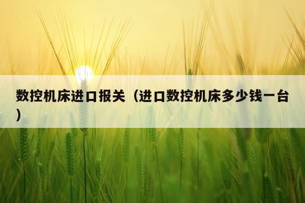 数控机床进口报关（进口数控机床多少钱一台）