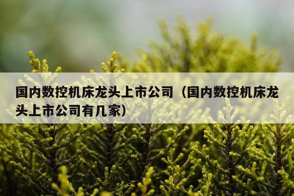 国内数控机床龙头上市公司（国内数控机床龙头上市公司有几家）