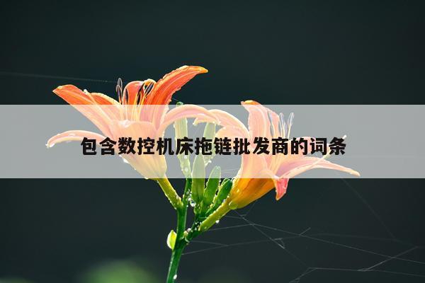包含数控机床拖链批发商的词条