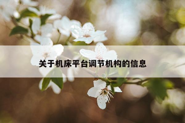 关于机床平台调节机构的信息