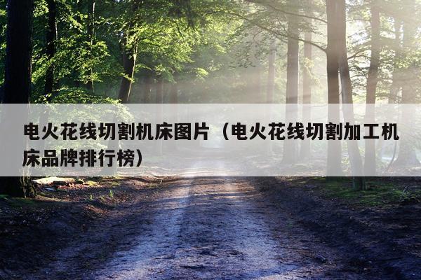 电火花线切割机床图片(电火花线切割加工机床品牌排行榜)