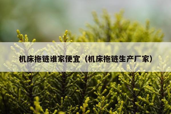 机床拖链谁家便宜(机床拖链生产厂家)