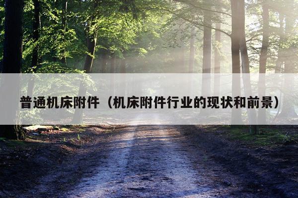 普通机床附件（机床附件行业的现状和前景）