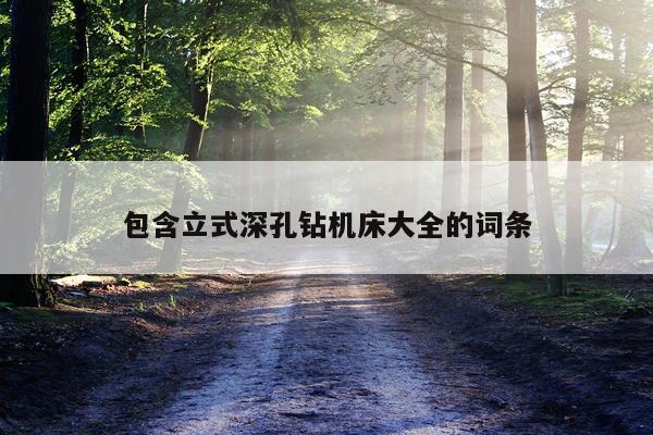 包含立式深孔钻机床大全的词条