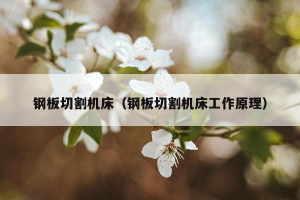 钢板切割机床(钢板切割机床工作原理)