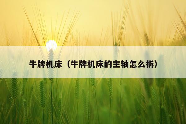 牛牌机床（牛牌机床的主轴怎么拆）