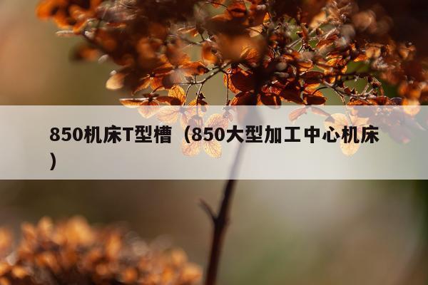850机床T型槽(850大型加工中心机床)