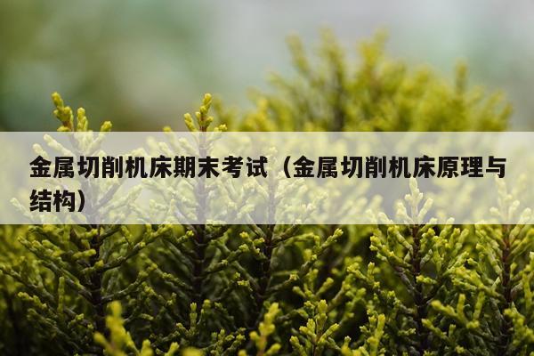 金属切削机床期末考试(金属切削机床原理与结构)