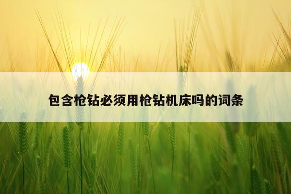 包含枪钻必须用枪钻机床吗的词条