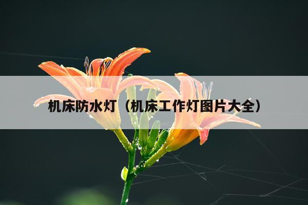 机床防水灯（机床工作灯图片大全）