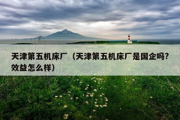 天津第五机床厂（天津第五机床厂是国企吗?效益怎么样）