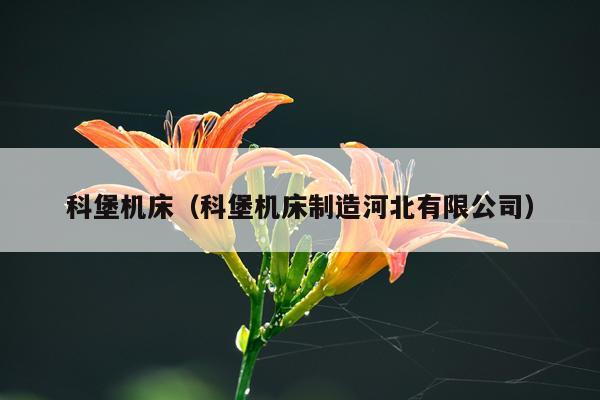 科堡机床（科堡机床制造河北有限公司）