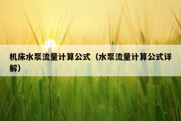 机床水泵流量计算公式（水泵流量计算公式详解）