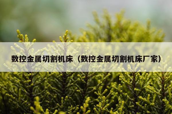 数控金属切割机床（数控金属切割机床厂家）