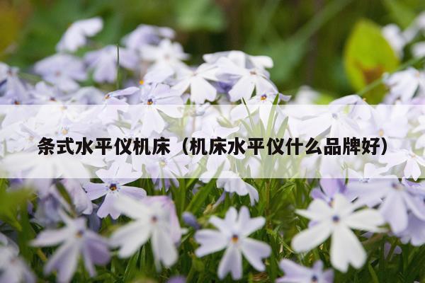 条式水平仪机床（机床水平仪什么品牌好）