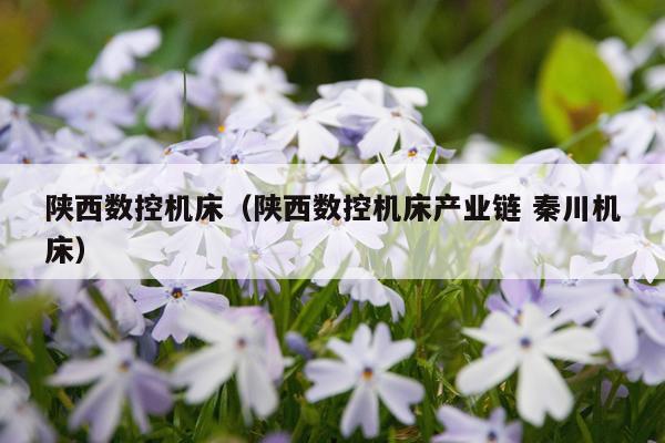 陕西数控机床（陕西数控机床产业链 秦川机床）
