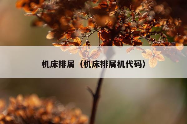 机床排屑（机床排屑机代码）