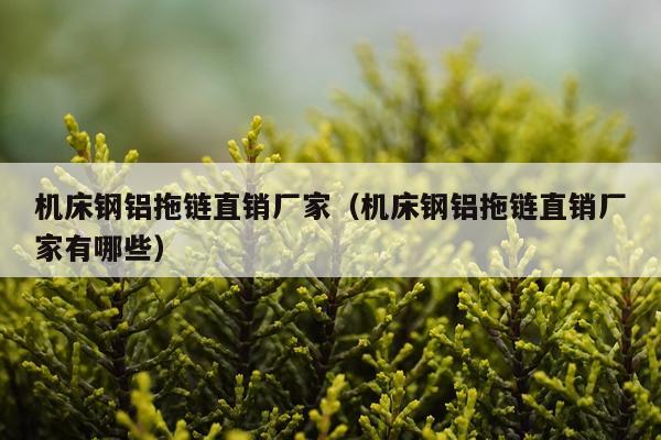 机床钢铝拖链直销厂家（机床钢铝拖链直销厂家有哪些）