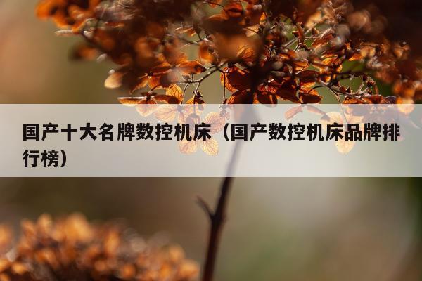 国产十大名牌数控机床（国产数控机床品牌排行榜）