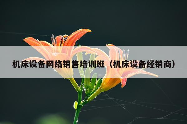 机床设备网络销售培训班（机床设备经销商）