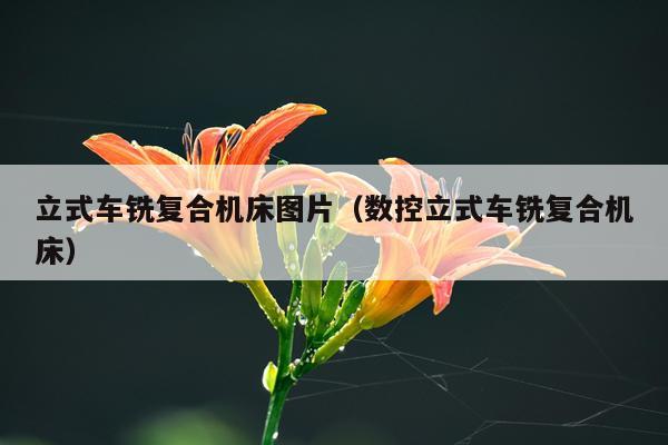 立式车铣复合机床图片（数控立式车铣复合机床）