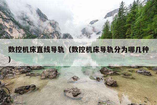 数控机床直线导轨（数控机床导轨分为哪几种）