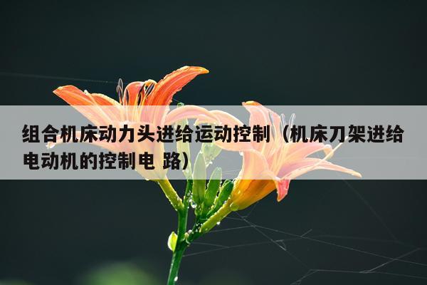 组合机床动力头进给运动控制（机床刀架进给电动机的控制电 路）