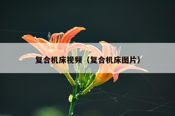 复合机床视频（复合机床图片）