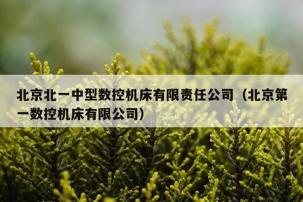 北京北一中型数控机床有限责任公司（北京第一数控机床有限公司）