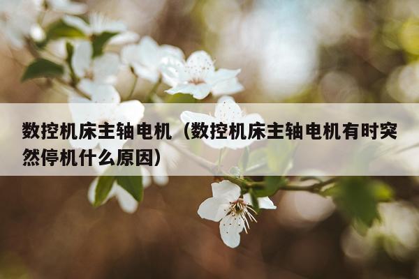 数控机床主轴电机（数控机床主轴电机有时突然停机什么原因）