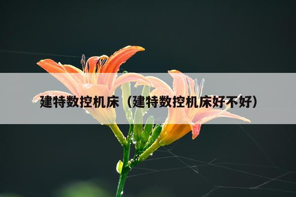 建特数控机床（建特数控机床好不好）