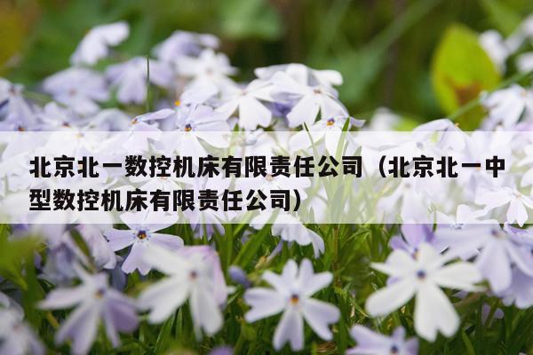 北京北一数控机床有限责任公司（北京北一中型数控机床有限责任公司）