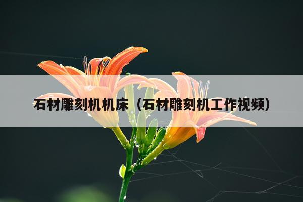 石材雕刻机机床（石材雕刻机工作视频）