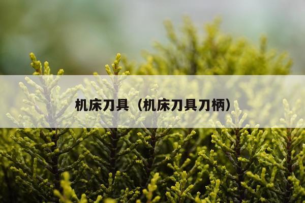 机床刀具（机床刀具刀柄）
