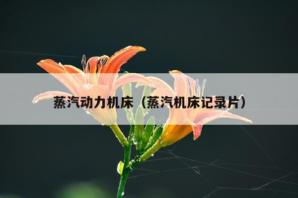 蒸汽动力机床(蒸汽机床记录片)