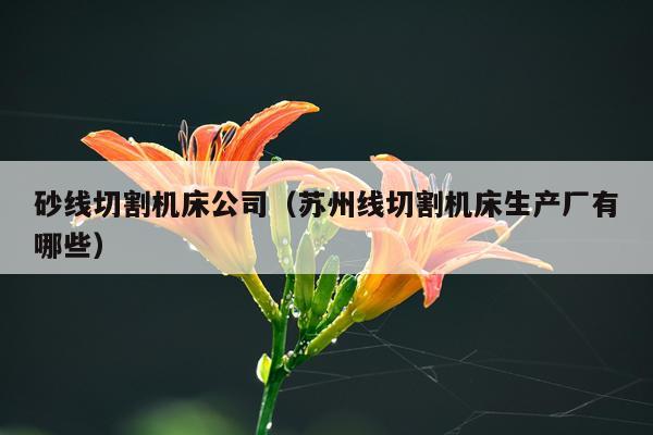 砂线切割机床公司(苏州线切割机床生产厂有哪些)