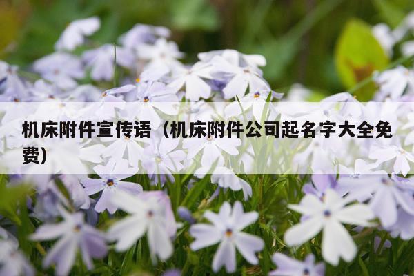 机床附件宣传语(机床附件公司起名字大全免费)