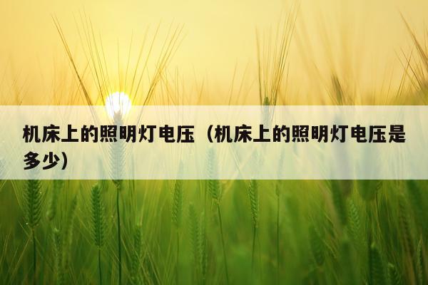 机床上的照明灯电压（机床上的照明灯电压是多少）