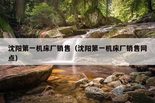 沈阳第一机床厂销售（沈阳第一机床厂销售网点）