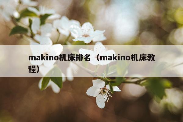 makino机床排名(makino机床教程)