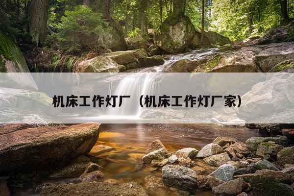 机床工作灯厂(机床工作灯厂家)