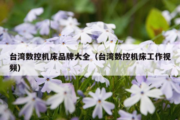 台湾数控机床品牌大全(台湾数控机床工作视频)
