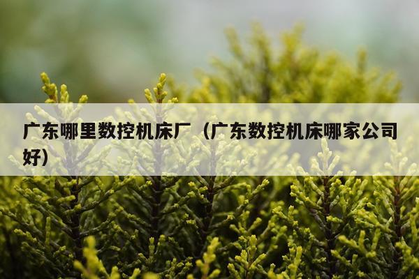 广东哪里数控机床厂(广东数控机床哪家公司好)