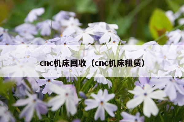 cnc机床回收(cnc机床租赁)