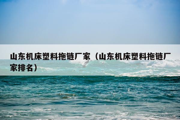 山东机床塑料拖链厂家(山东机床塑料拖链厂家排名)